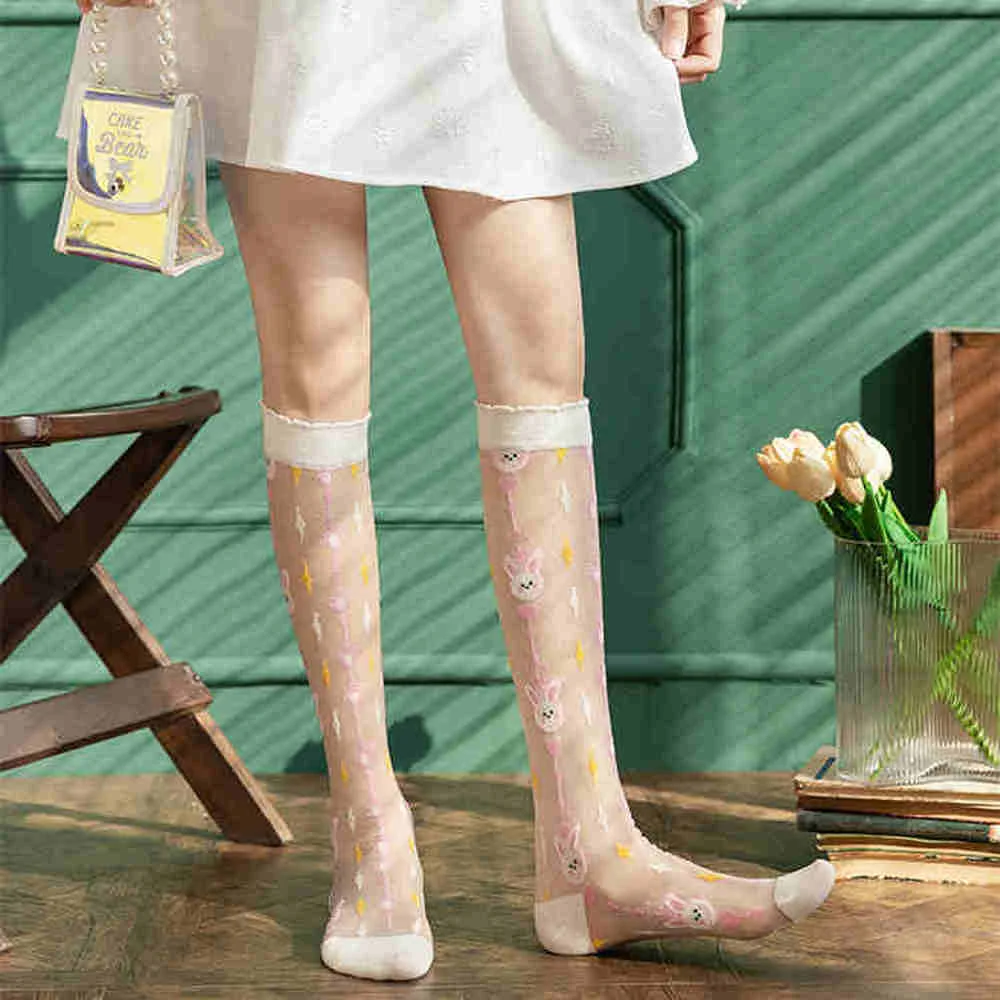 Summer Thin Women Stockings Ul – Crystal Mesh Fabric Bewertung und Preis