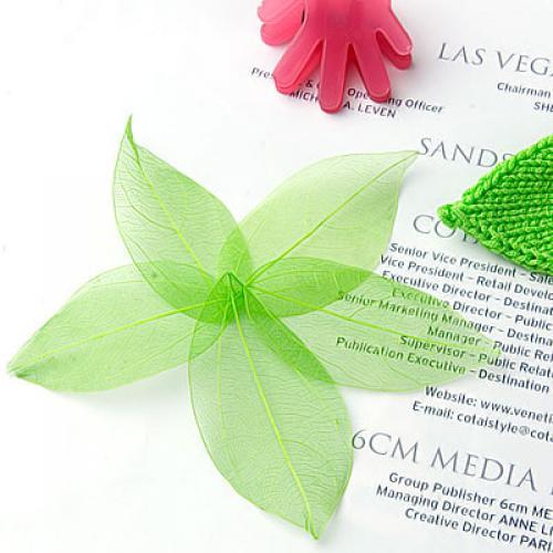 Natural Catbrier Skeleton Leav – Embellish Craft Bewertung und Preis