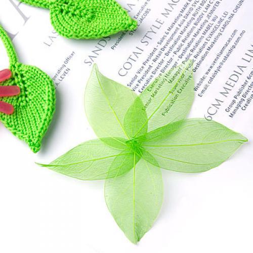 Natural Catbrier Skeleton Leav – Embellish Craft Bewertung und Preis