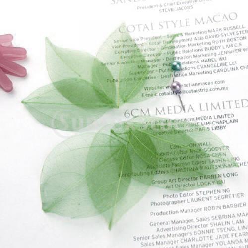 Natural Catbrier Skeleton Leav – Embellish Craft Bewertung und Preis
