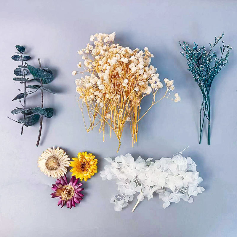 1pack Multifarious Dried Flowe – Embellish Craft Bewertung und Preis