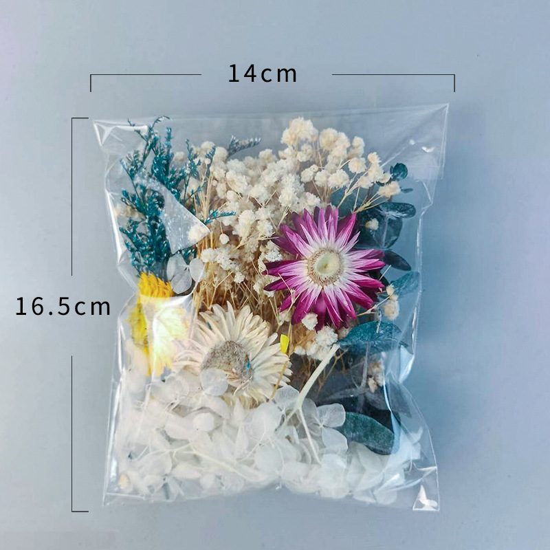 1pack Multifarious Dried Flowe – Embellish Craft Bewertung und Preis