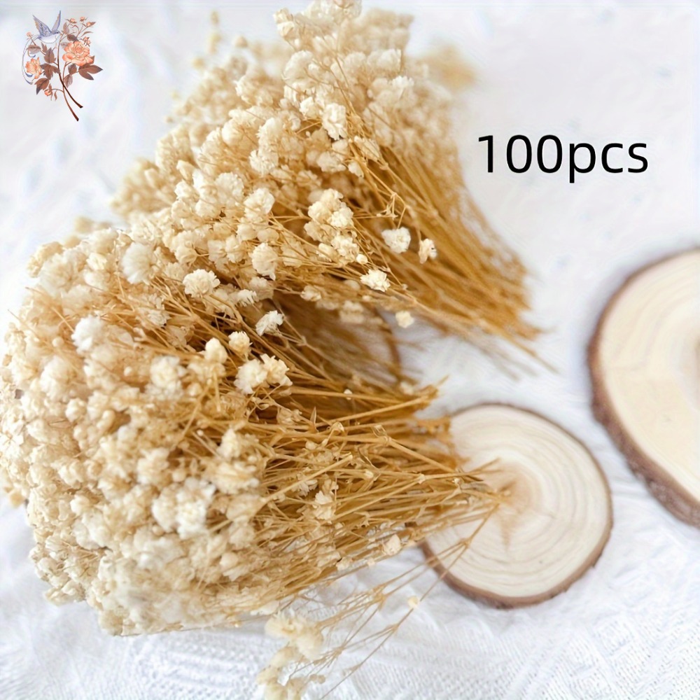 100pcs Mini Dried Baby's Breat – Embellish Craft Bewertung und Preis